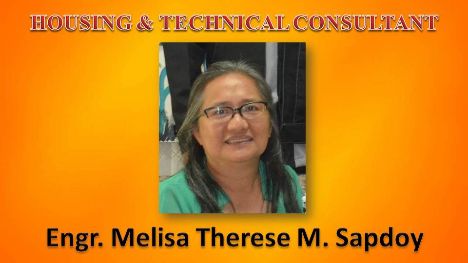 TECHNICAL CONSULTANT